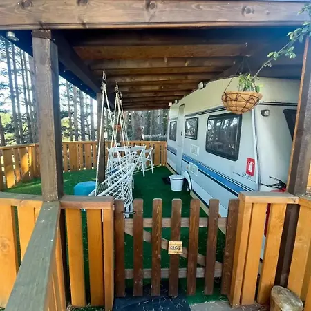 キャンプ場 Къмпинг Alino Lake