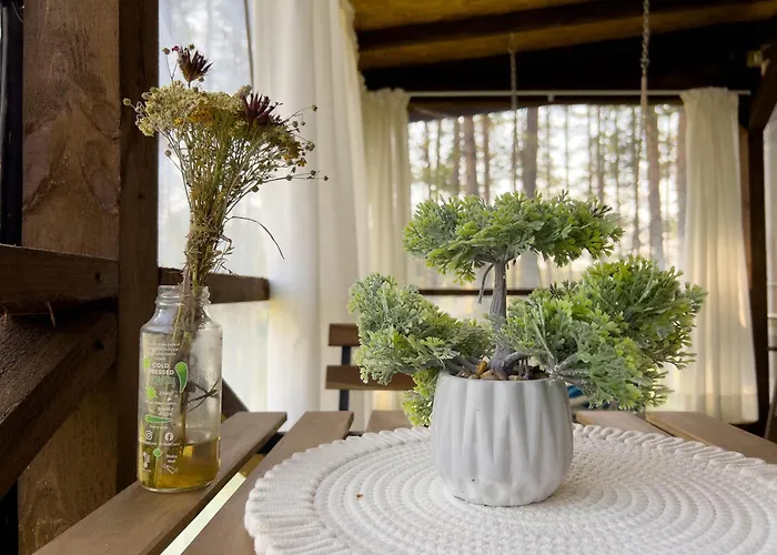 Къмпинг Alino Lake Kemp Alino